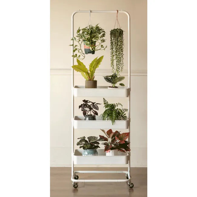 Barres Trolley - White - 7
