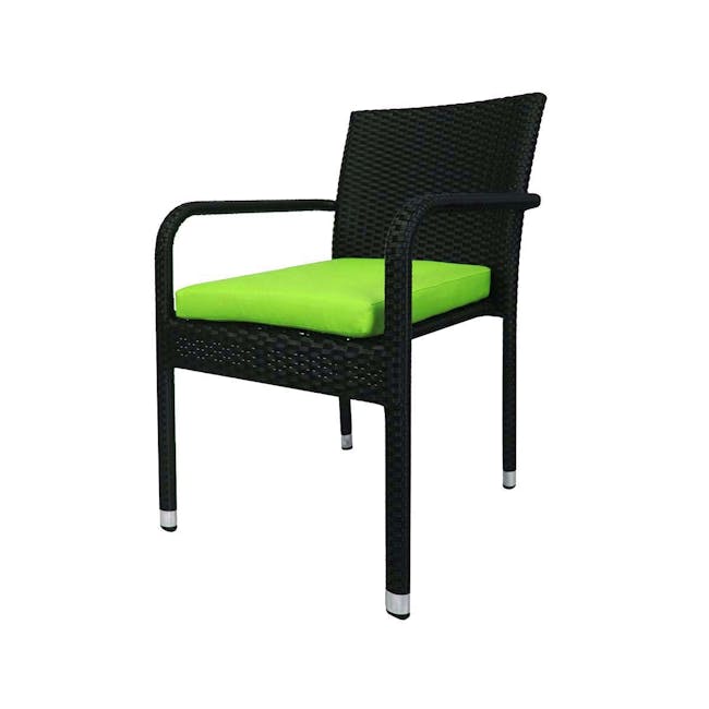 Jardin Outdoor Dining Chair - Green Cushion - 2