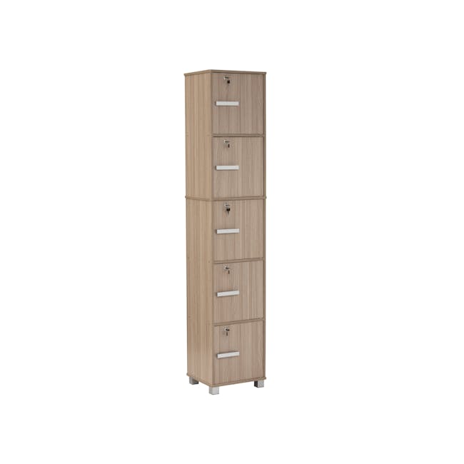 Naya 5 Door Cabinet - Ebonnese - 0
