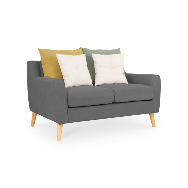 Evan 2 Seater Sofa - Charcoal Grey - 2