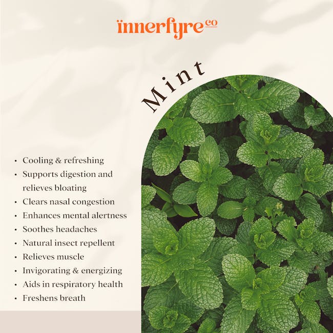 Innerfyre Co Yuugen Reed Diffuser 100ml - Mint, Tangerine & Oolong - 1