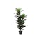 Potted Faux Rubber Tree 130 cm - 0