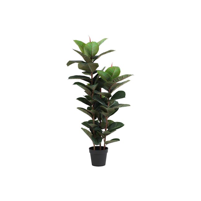 Potted Faux Rubber Tree 130 cm - 0
