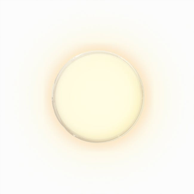 SOUNDTECH Motion Sensor Light (MWS-122) - 2