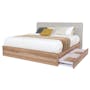 Tabitha 2 Drawer Queen Bed - 1