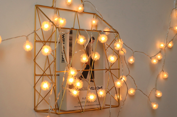 Dandelion String Lights 6m - Warm