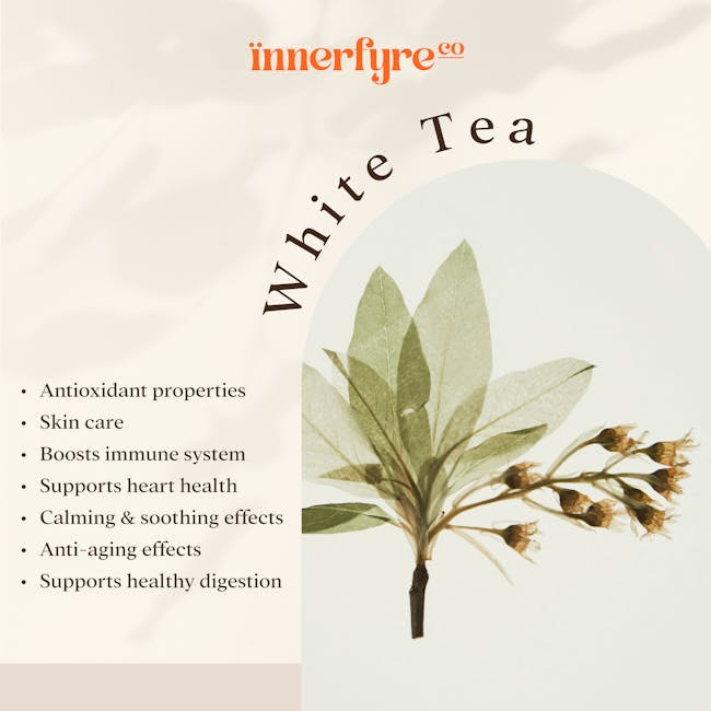 Innerfyre Co Balance Candle 200g - White Tea - 1