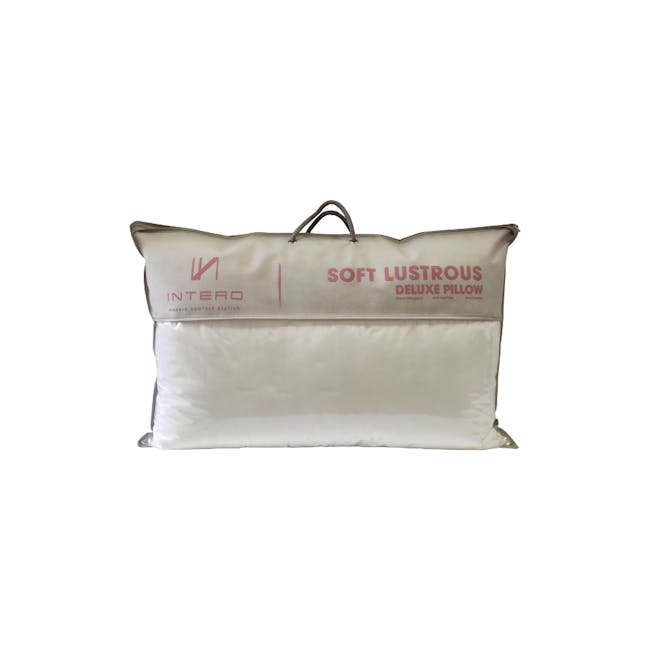 Intero Soft Lustrous Pillow - 1