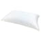 Intero Soft Lustrous Pillow - 2