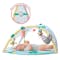 Skip Hop Activity Gym & Soother - Tropical Paradise - 3