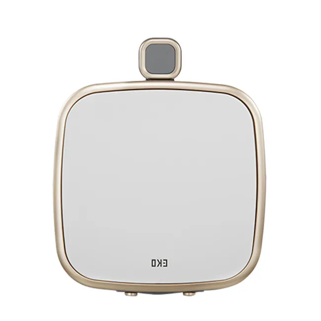 Eko Rectangle Step Bin with Soft Closing Lid (2 Sizes) - 5 - Gold-framed, rectangular, modern, minimalist, handheld