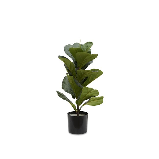 Potted Faux Fiddle Leaf Fig Plant 60 cm - 0