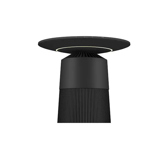 LG PuriCare™ AeroFurniture - Black - 6