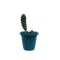 Matte Glaze Mini Plant Pot - Matte Teal