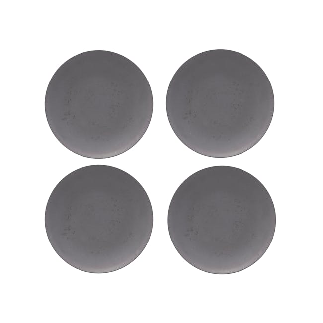 Picnic Plate - Dark Grey (Set of 4) - 1