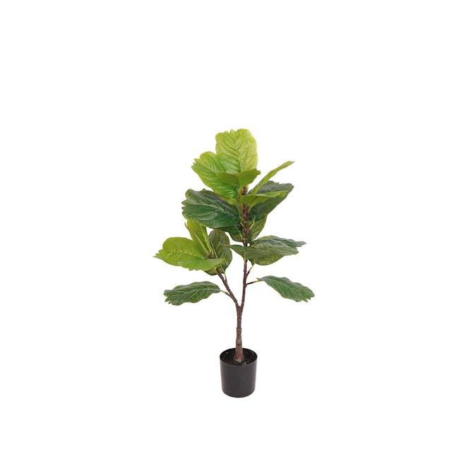 Potted Faux Lyrata Plant 70 cm - 0