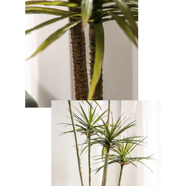 Potted Faux Dracaena Marginata Tree 185 cm - 8 - Green, slender, leafy, potted, indoor, healthy, tropical, tall, upright