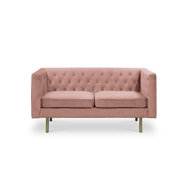 Cadencia 2 Seater Sofa - Blush (Velvet) - 0