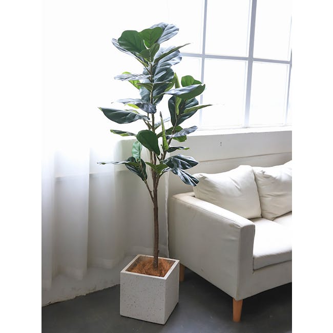 Potted Faux Fiddle Leaf Fig Tree 150 cm - 5