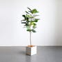 Potted Faux Fiddle Leaf Fig Tree 150 cm - 1