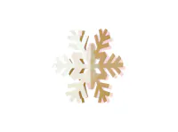 Snowflakes Paper Decor - Rainbow