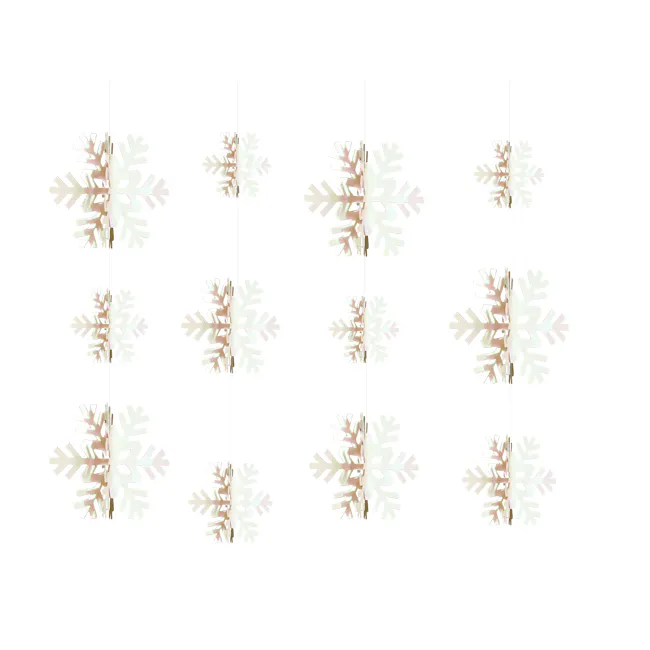 Snowflakes Paper Decor - Rainbow - 2