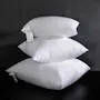 Kaye Cushion - 7