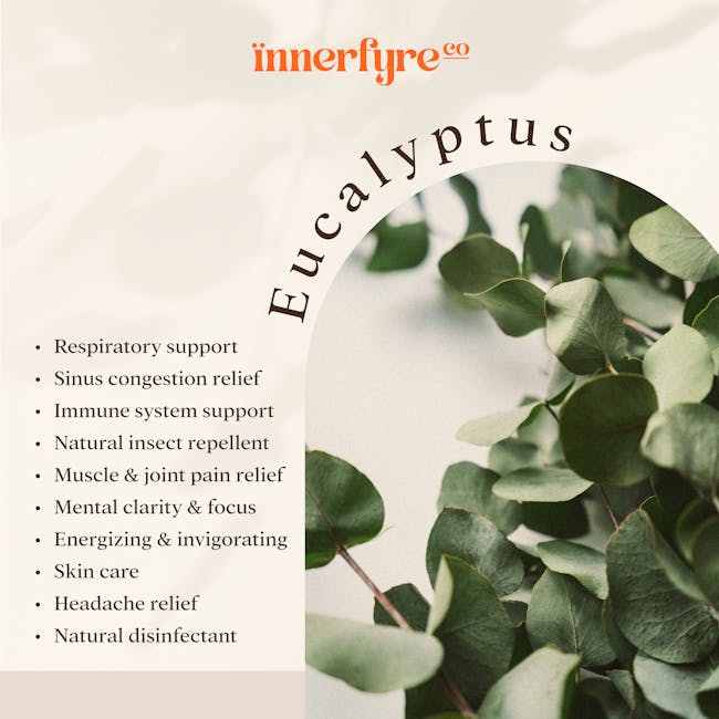 Innerfyre Co Energize Reed Diffuser - Eucalyptus (2 Sizes) - 1