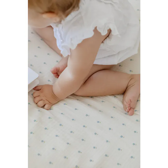 Soft Spot Soft Crib Sheet - Periwinkle - 2
