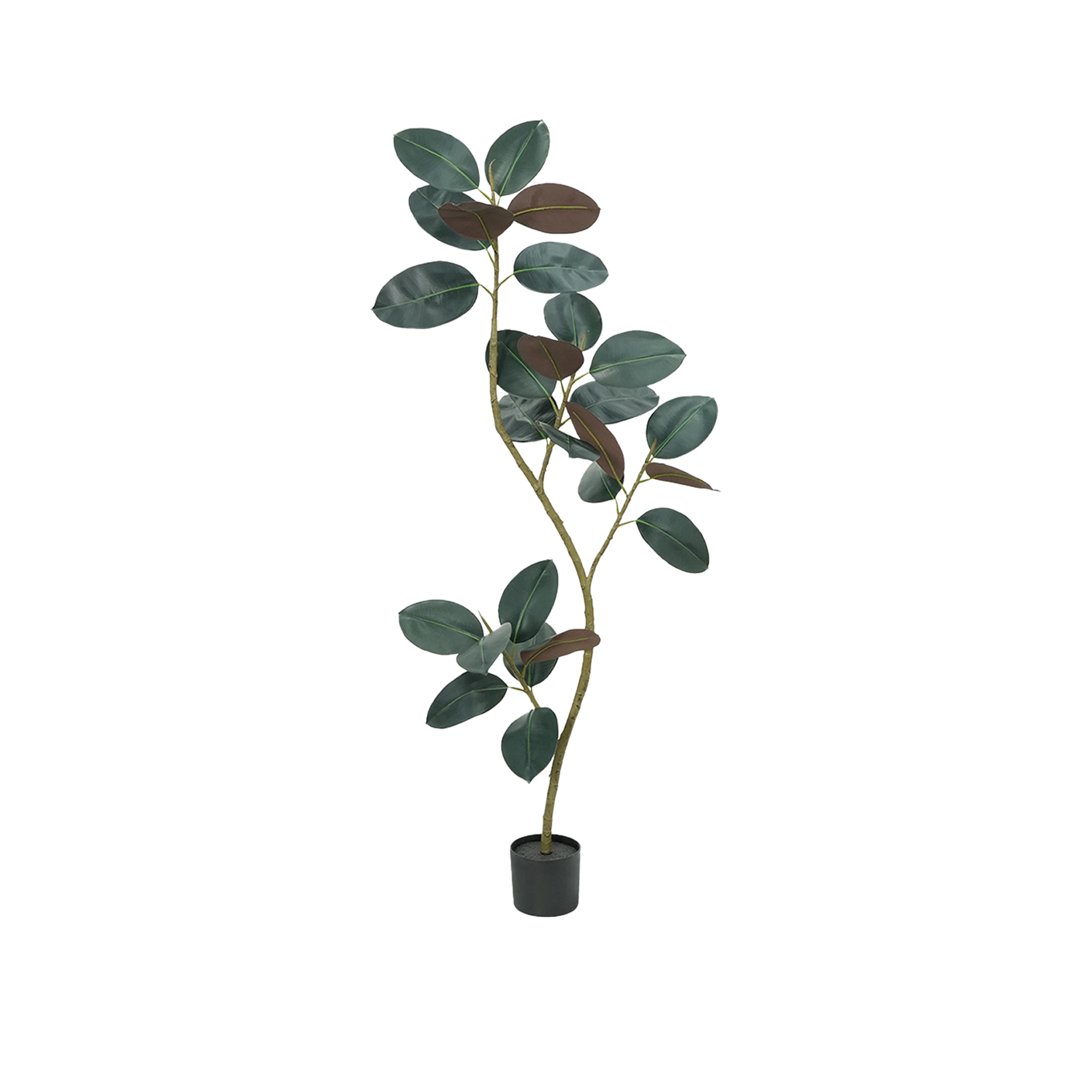 Potted Faux Curve Dark Rubber Plant 160 cm