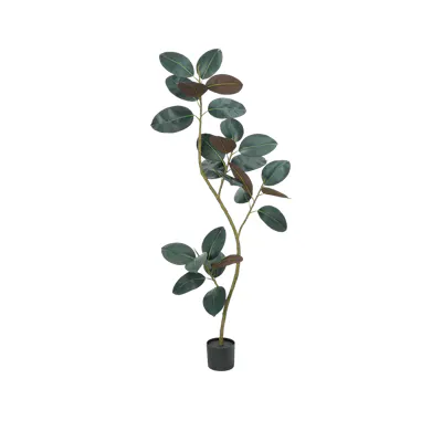Potted Faux Curve Dark Rubber Plant 160 cm