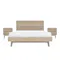 Leland King Bed with 2 Leland Twin Drawer Bedside Tables