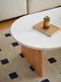 Elora Coffee Table 1.2m (Sintered Stone) - 9
