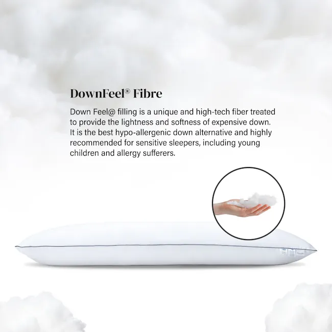 Bellami ZZEN 100% Egyptian Cotton Downfeel Hugging Pillow - 3