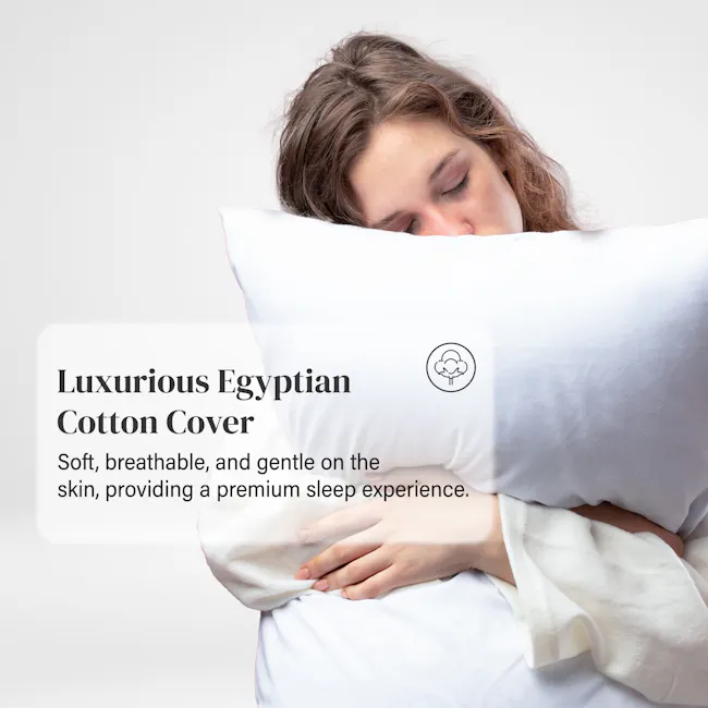Bellami ZZEN 100% Egyptian Cotton Downfeel Hugging Pillow - 2