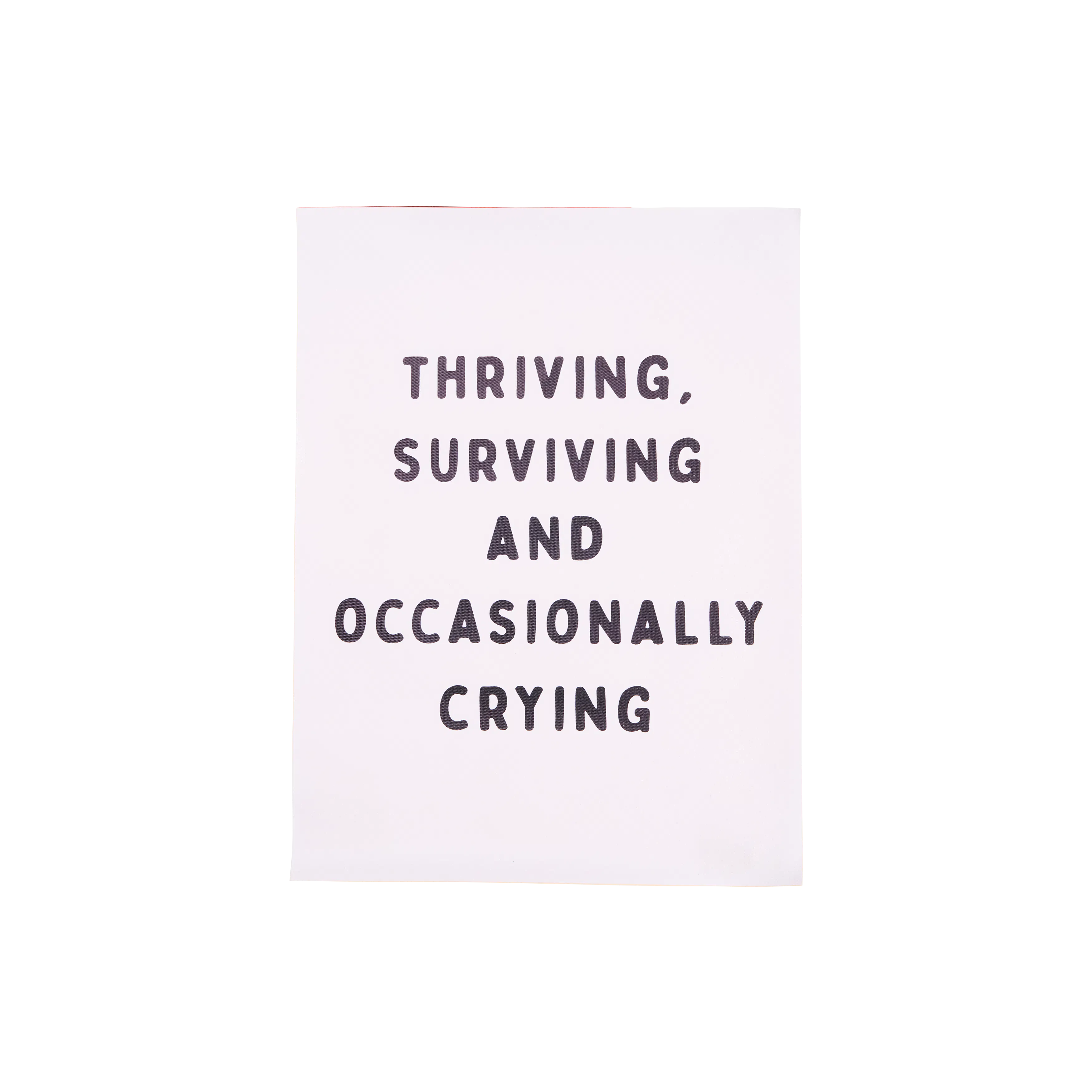Thriving Surviving Quote Canvas Poster 30 x 40 cm