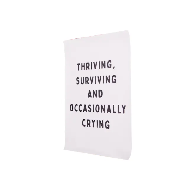 Thriving Surviving Quote Canvas Poster 30 x 40 cm - 2