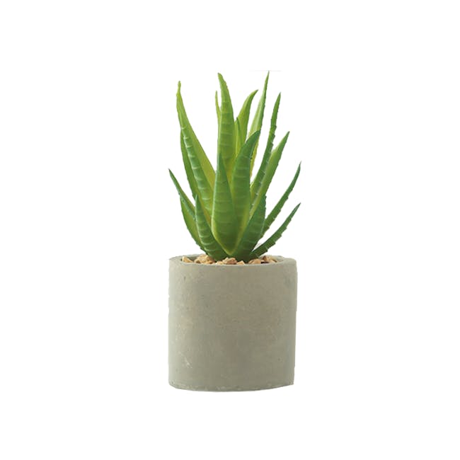 Faux Aloe Vera in Concrete Planter - 0