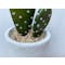 Faux Bunny Ear Cactus in Concrete Planter - 1