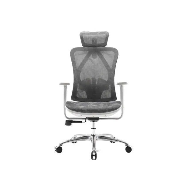 Sihoo M57C Ergonomic Chair - Grey - 1