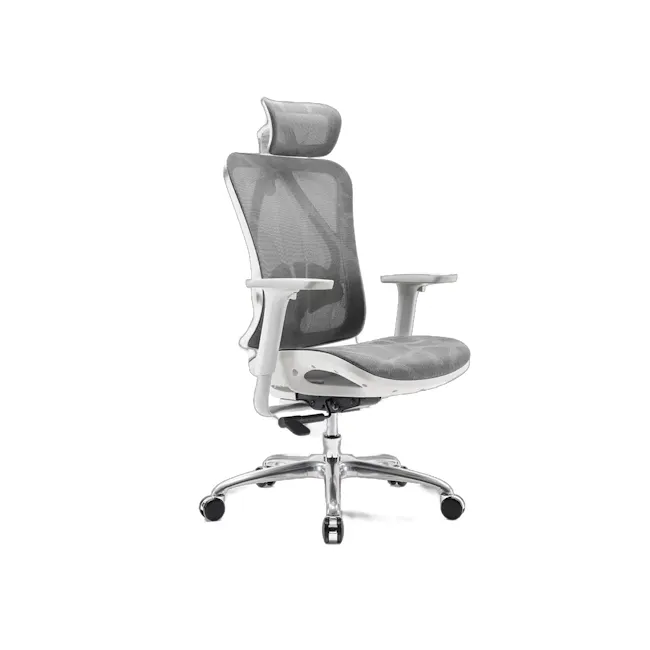 Sihoo M57C Ergonomic Chair - Grey - 2