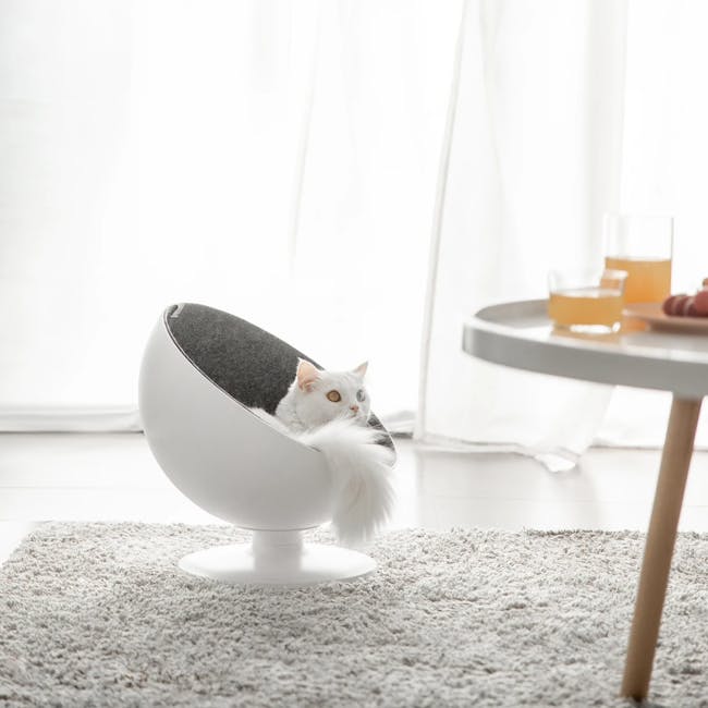 FURRYTAIL Cat Boss Chair - 1