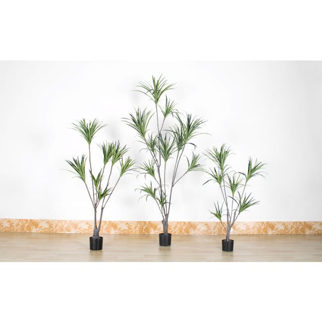 Potted Faux Yucca Tree 160 cm - 2