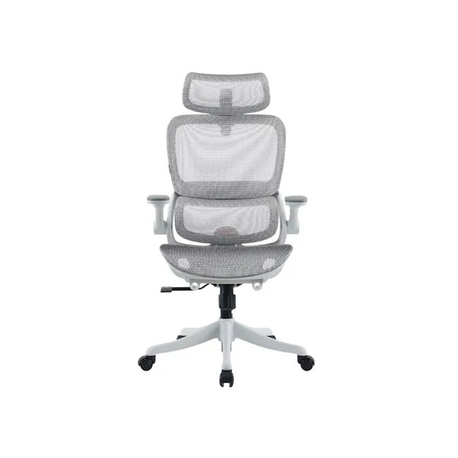 Sihoo B100 Pro Ergonomic Chair - White/Grey - 1