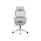 Sihoo B100 Pro Ergonomic Chair - White/Grey