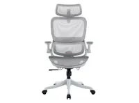Sihoo B100 Pro Ergonomic Chair - White/Grey