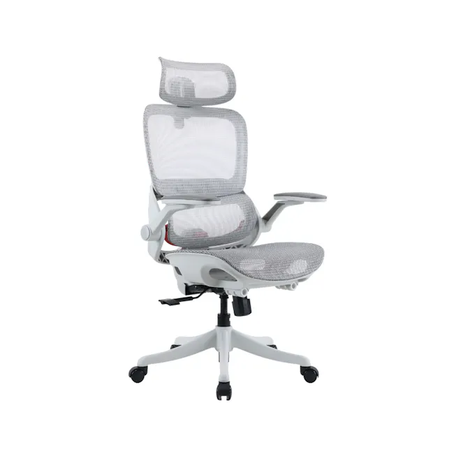Sihoo B100 Pro Ergonomic Chair - White/Grey - 2