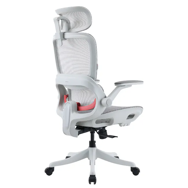 Sihoo B100 Pro Ergonomic Chair - White/Grey - 6
