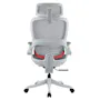 Sihoo B100 Pro Ergonomic Chair - White/Grey - 7