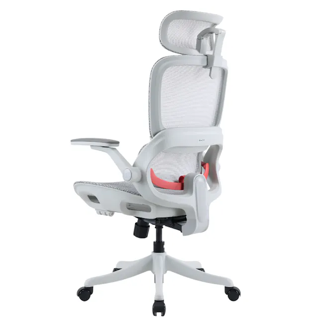 Sihoo B100 Pro Ergonomic Chair - White/Grey - 7